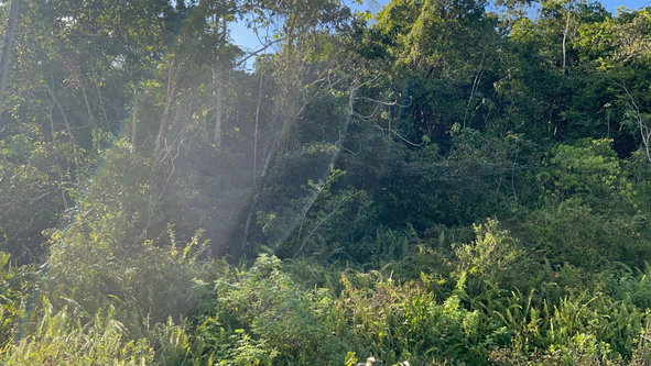 Third image of 235 Phoenix Park in Moneague, St. Ann, Jamaica - property is For Sale