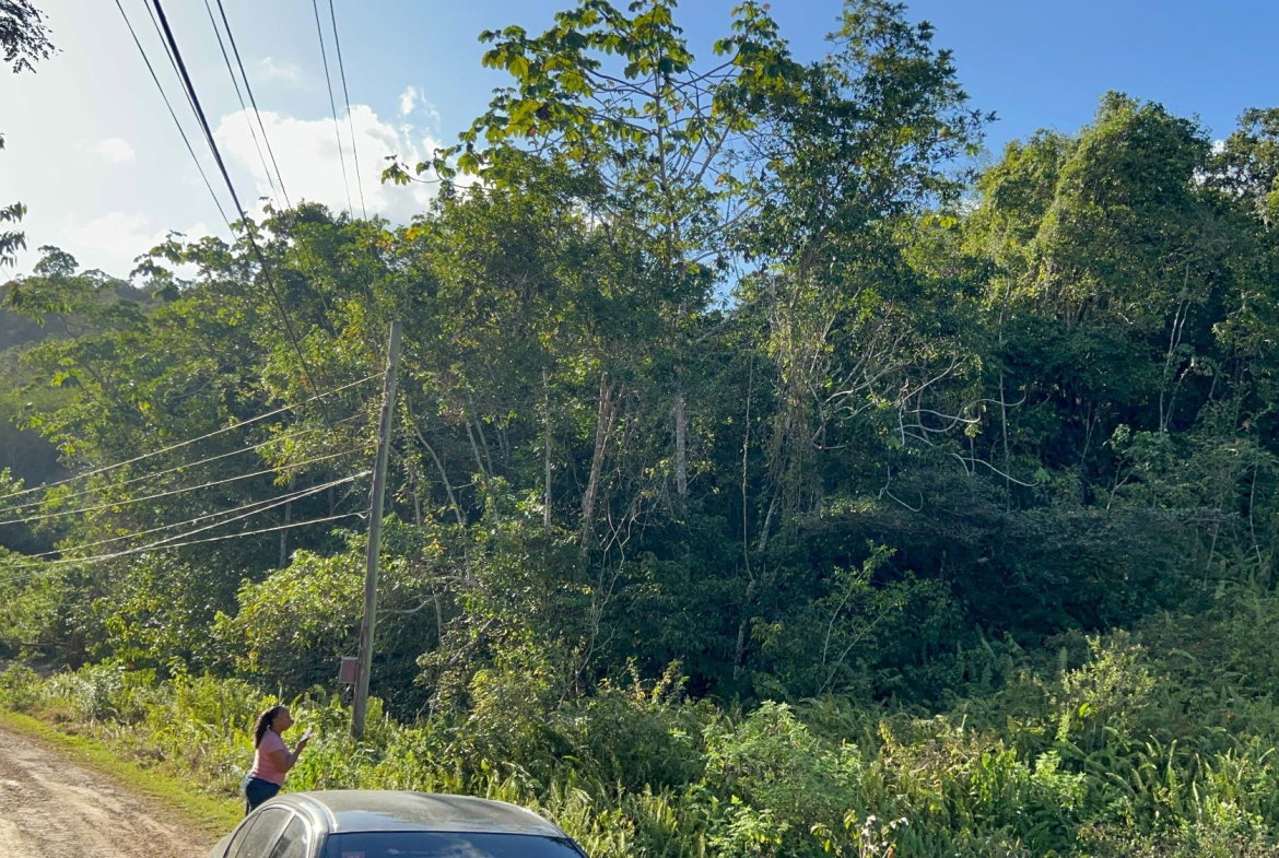 Fourth image of 235 Phoenix Park in Moneague, St. Ann, Jamaica - property is For Sale