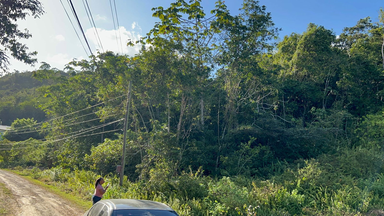 4.5-Acres-Residential-Development-Land-for-Sale-in-Phoenix-Park-St.-Ann-Jamaica Fourth image of 235 Phoenix Park in Moneague, St. Ann, Jamaica - property is For Sale