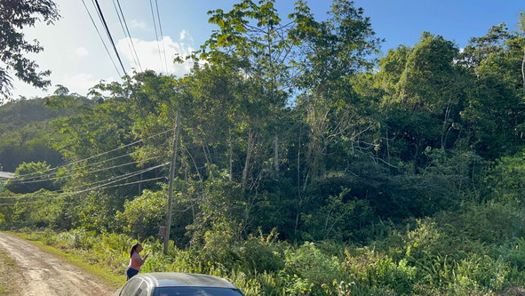 Fourth image of 235 Phoenix Park in Moneague, St. Ann, Jamaica - property is For Sale