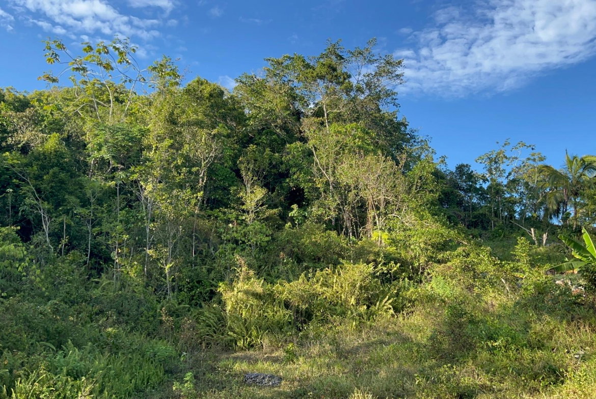 Fifth image of 235 Phoenix Park in Moneague, St. Ann, Jamaica - property is For Sale