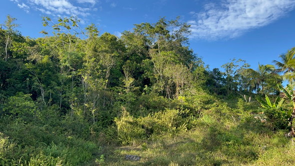 Fifth image of 235 Phoenix Park in Moneague, St. Ann, Jamaica - property is For Sale