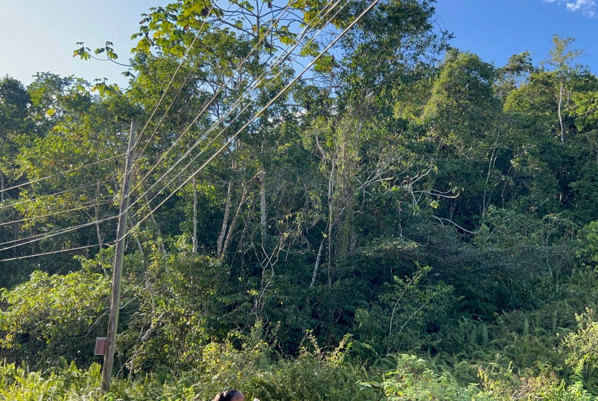 Sixth image of 235 Phoenix Park in Moneague, St. Ann, Jamaica - property is For Sale
