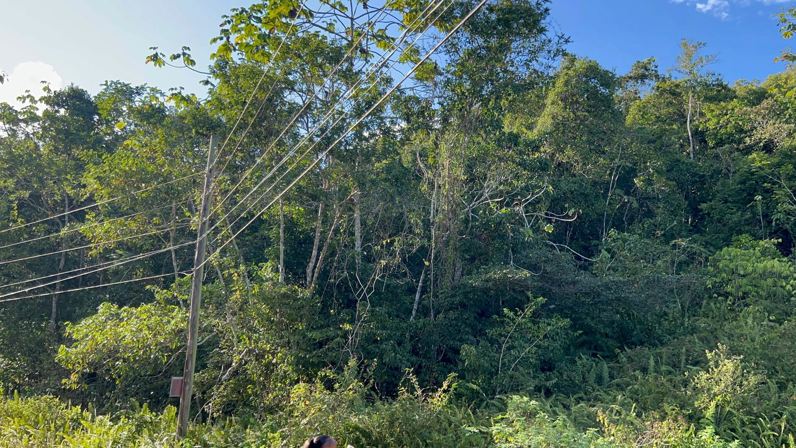 4.5-Acres-Residential-Development-Land-for-Sale-in-Phoenix-Park-St.-Ann-Jamaica Sixth image of 235 Phoenix Park in Moneague, St. Ann, Jamaica - property is For Sale