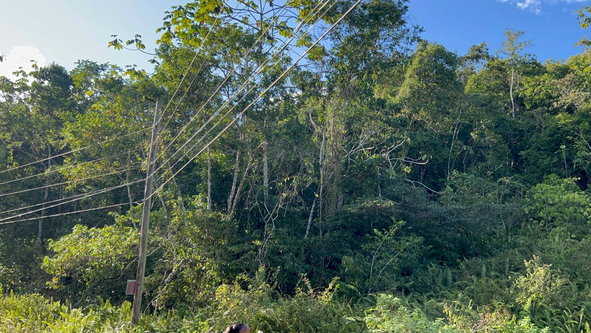 Sixth image of 235 Phoenix Park in Moneague, St. Ann, Jamaica - property is For Sale
