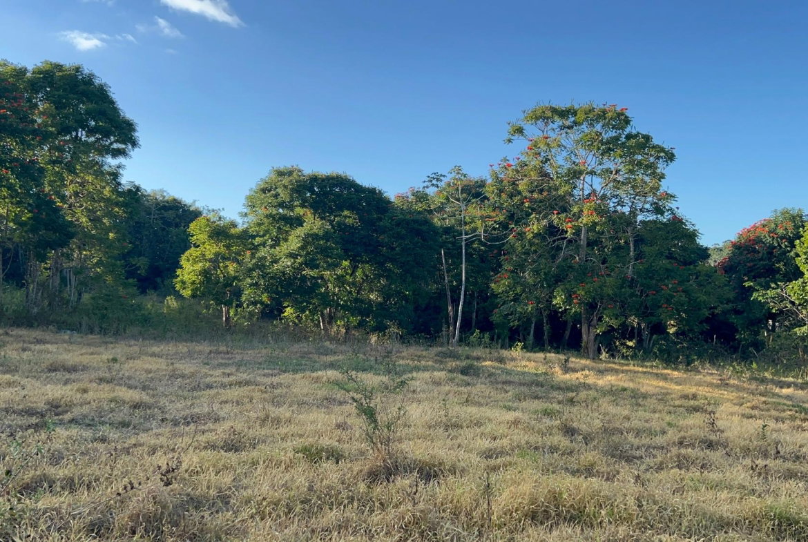 Seventh image of 235 Phoenix Park in Moneague, St. Ann, Jamaica - property is For Sale