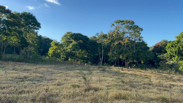 Seventh image of 235 Phoenix Park in Moneague, St. Ann, Jamaica - property is For Sale