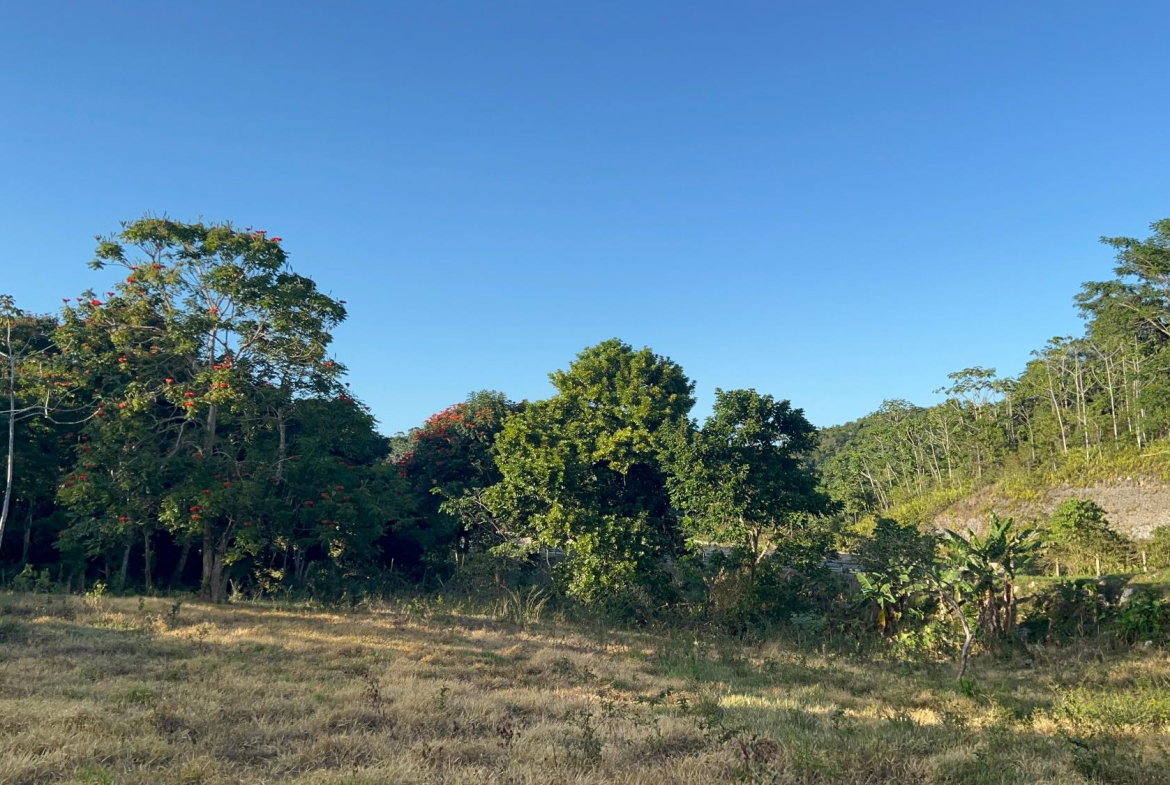 Eighth image of 235 Phoenix Park in Moneague, St. Ann, Jamaica - property is For Sale