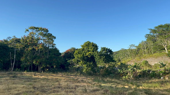 Eighth image of 235 Phoenix Park in Moneague, St. Ann, Jamaica - property is For Sale