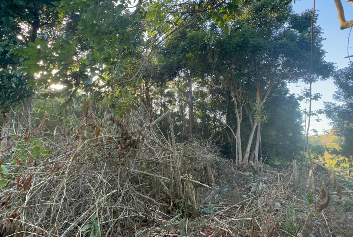 Ninth image of 235 Phoenix Park in Moneague, St. Ann, Jamaica - property is For Sale
