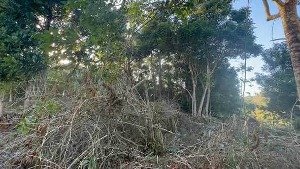 Ninth image of 235 Phoenix Park in Moneague, St. Ann, Jamaica - property is For Sale