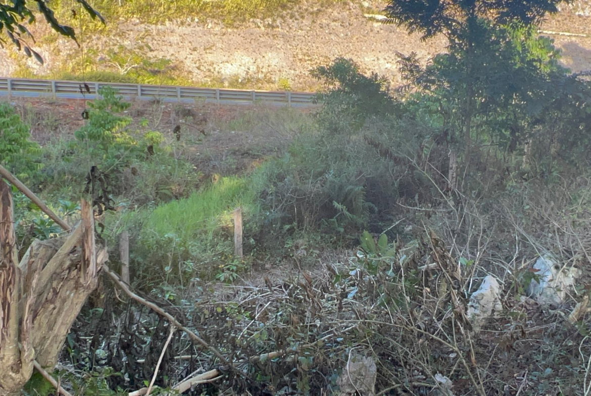 Tenth image of 235 Phoenix Park in Moneague, St. Ann, Jamaica - property is For Sale