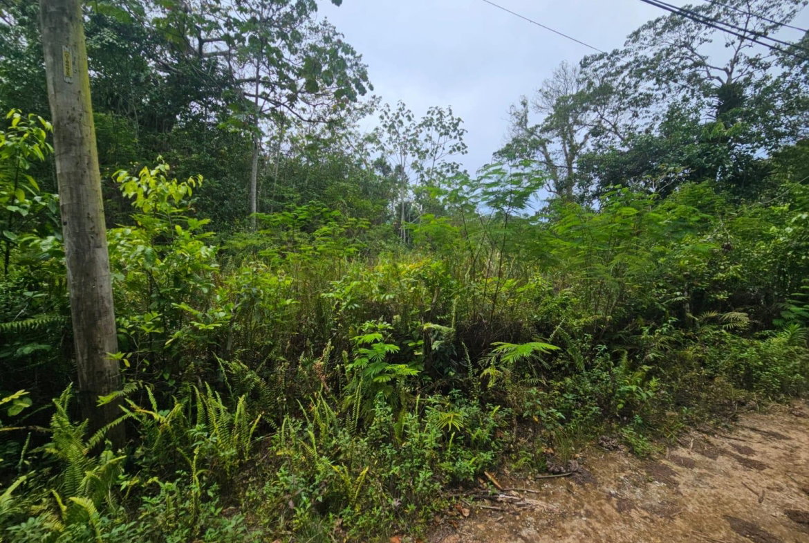 Second image of 4 Haddon, Walkerswood in Walkers Wood, St. Ann, Jamaica - property is For Sale
