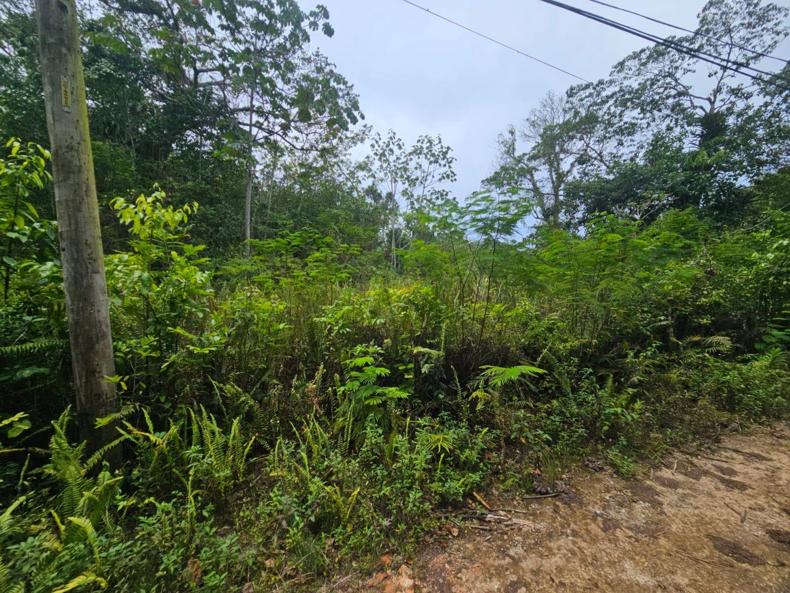 Second image of 4 Haddon, Walkerswood in Walkers Wood, St. Ann, Jamaica - property is For Sale