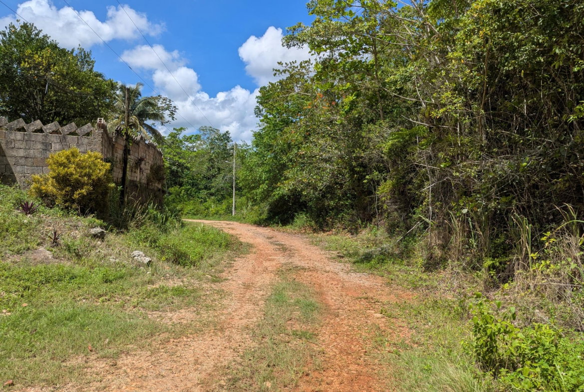 Twelfth image of 4 Haddon, Walkerswood in Walkers Wood, St. Ann, Jamaica - property is For Sale