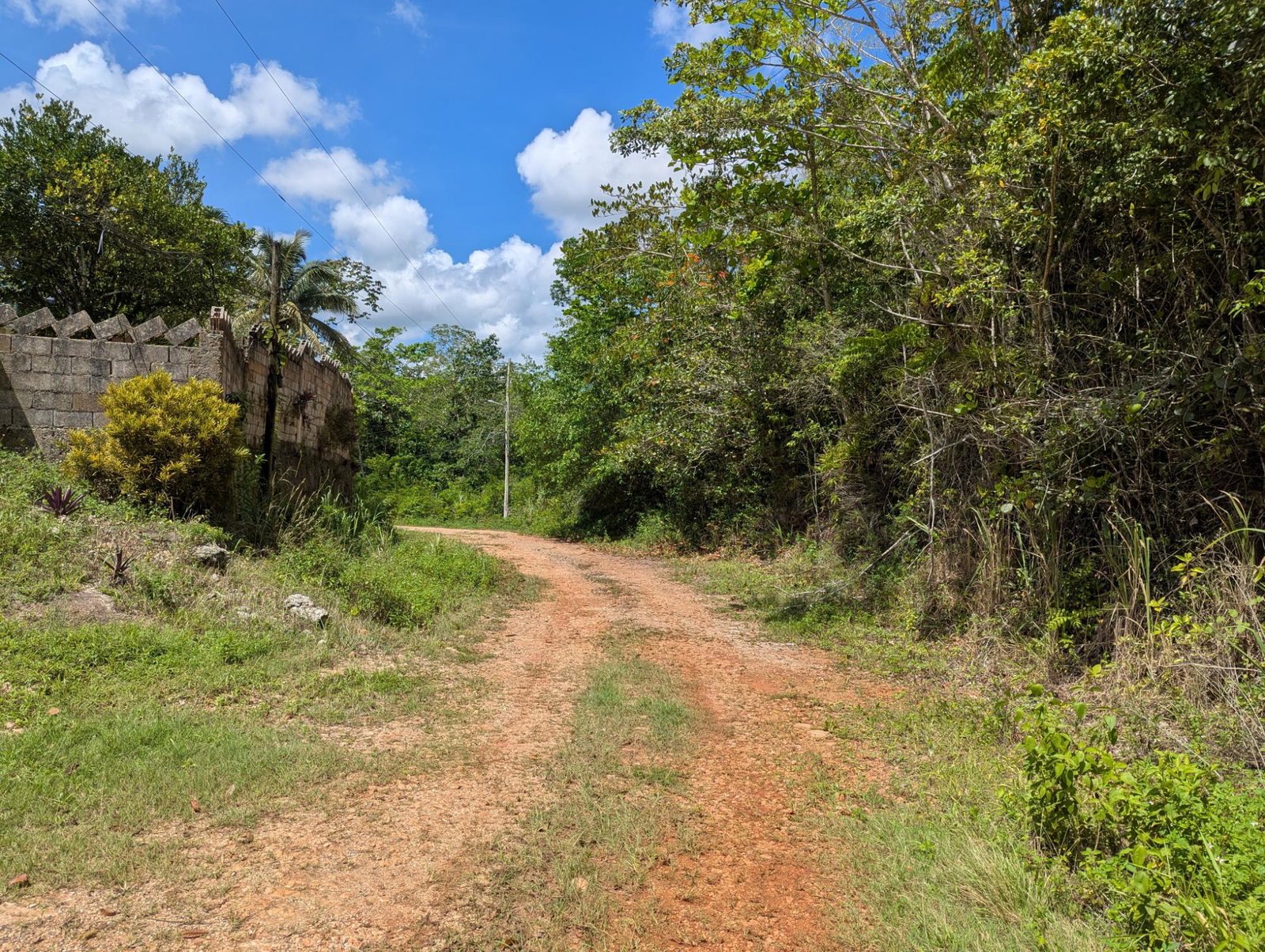 Twelfth image of 4 Haddon, Walkerswood in Walkers Wood, St. Ann, Jamaica - property is For Sale