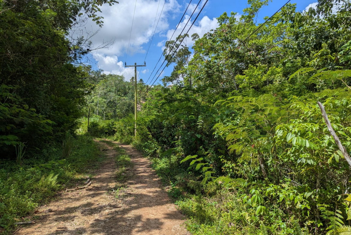 Thirteenth image of 4 Haddon, Walkerswood in Walkers Wood, St. Ann, Jamaica - property is For Sale
