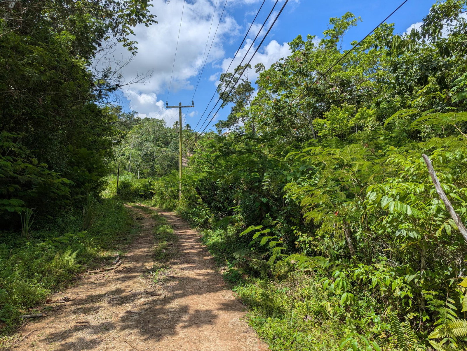 Thirteenth image of 4 Haddon, Walkerswood in Walkers Wood, St. Ann, Jamaica - property is For Sale
