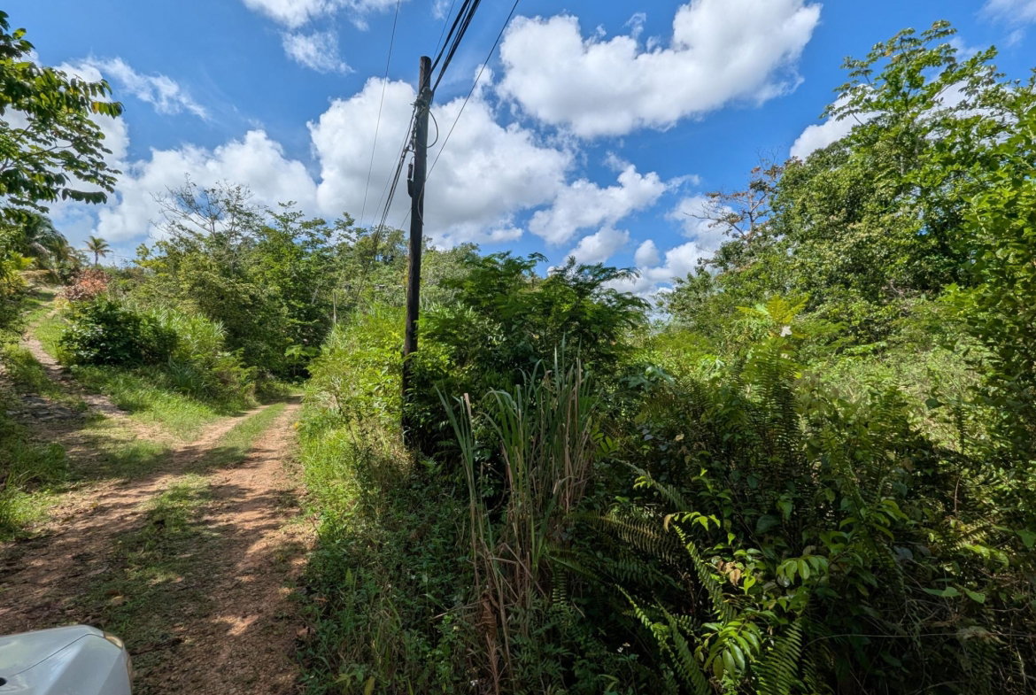 Fourteenth image of 4 Haddon, Walkerswood in Walkers Wood, St. Ann, Jamaica - property is For Sale