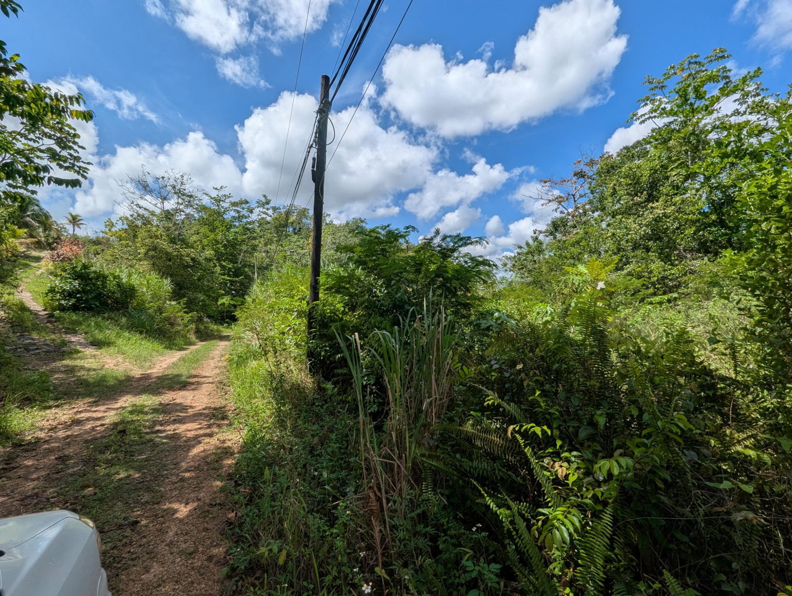 Fourteenth image of 4 Haddon, Walkerswood in Walkers Wood, St. Ann, Jamaica - property is For Sale