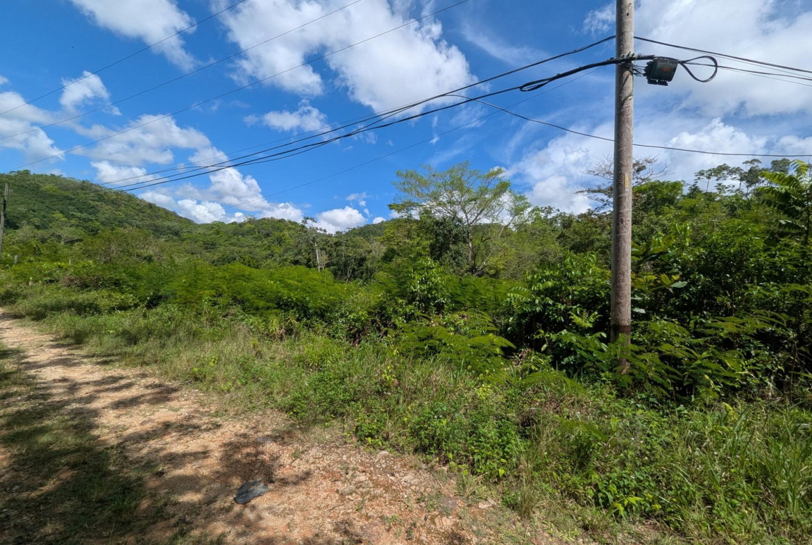 Fifteenth image of 4 Haddon, Walkerswood in Walkers Wood, St. Ann, Jamaica - property is For Sale