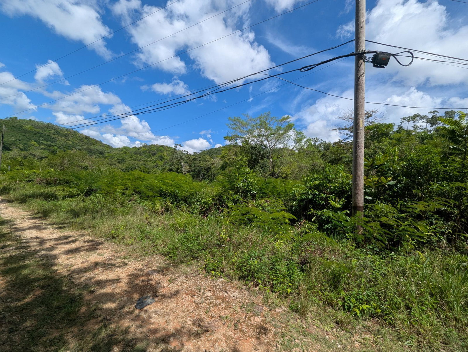 Fifteenth image of 4 Haddon, Walkerswood in Walkers Wood, St. Ann, Jamaica - property is For Sale