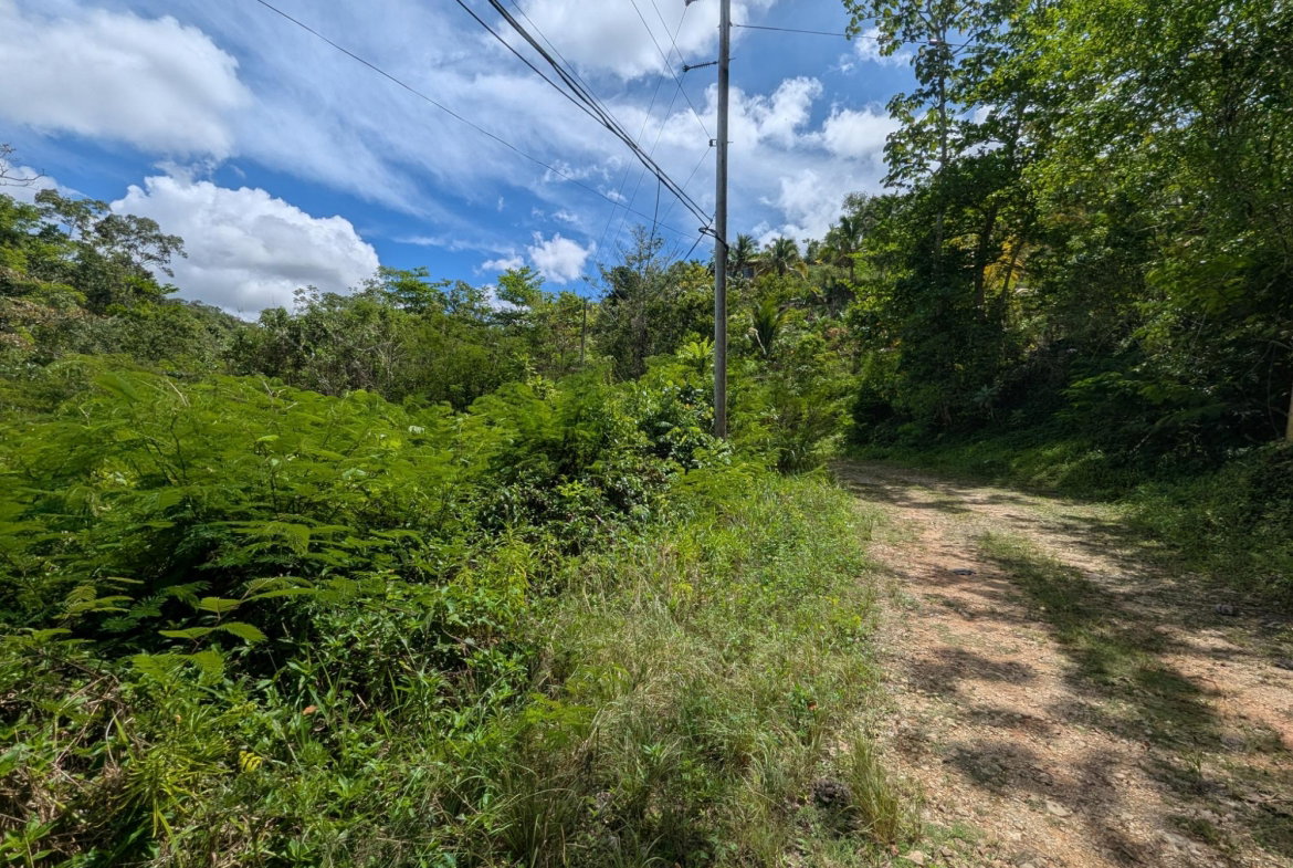 Sixteenth image of 4 Haddon, Walkerswood in Walkers Wood, St. Ann, Jamaica - property is For Sale