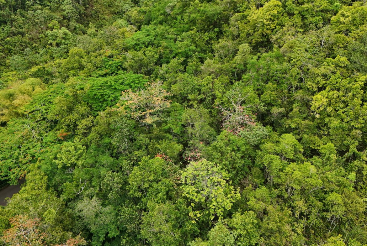 Fifth image of 4 Haddon, Walkerswood in Walkers Wood, St. Ann, Jamaica - property is For Sale