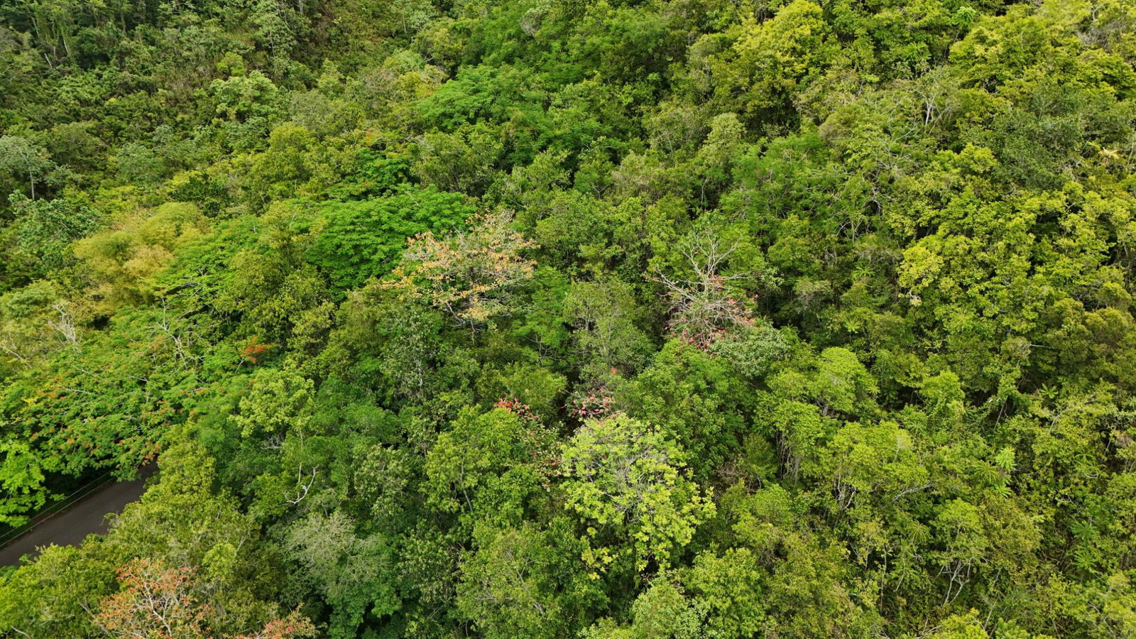 Fifth image of 4 Haddon, Walkerswood in Walkers Wood, St. Ann, Jamaica - property is For Sale