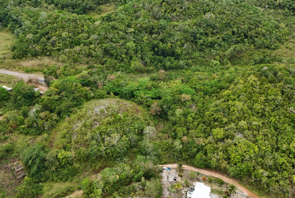 Eighth image of 4 Haddon, Walkerswood in Walkers Wood, St. Ann, Jamaica - property is For Sale