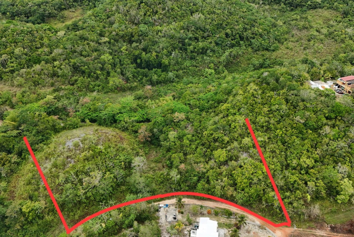 Ninth image of 4 Haddon, Walkerswood in Walkers Wood, St. Ann, Jamaica - property is For Sale