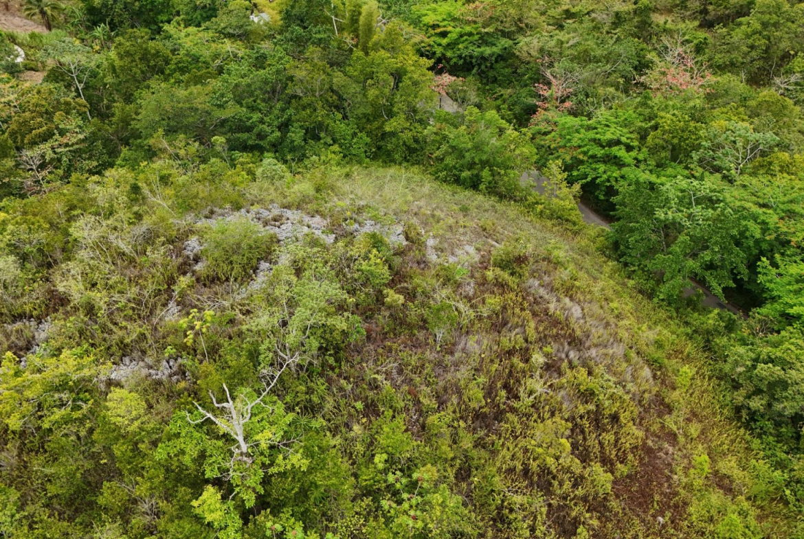 Tenth image of 4 Haddon, Walkerswood in Walkers Wood, St. Ann, Jamaica - property is For Sale