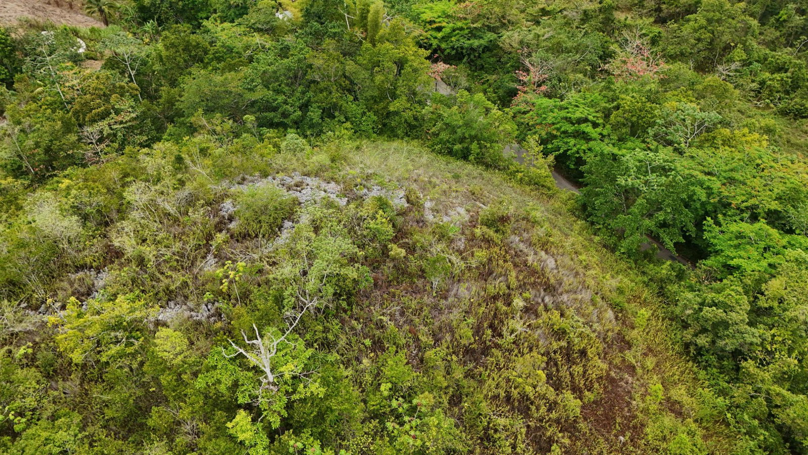 Tenth image of 4 Haddon, Walkerswood in Walkers Wood, St. Ann, Jamaica - property is For Sale