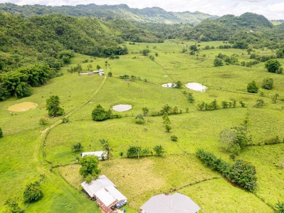 First image of Enfield, Westmoreland in Enfield, Westmoreland, Jamaica - property is For Sale