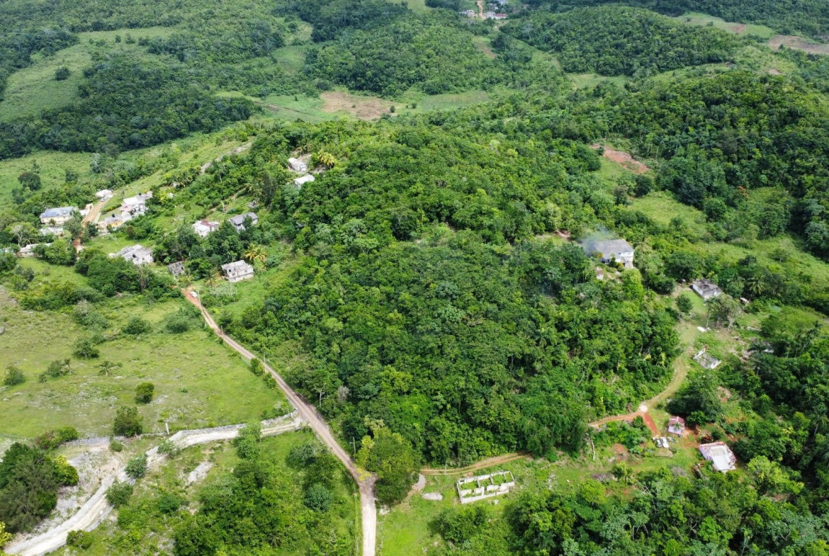 Sixth image of Broad Street, Claremont in Claremont, St. Ann, Jamaica - property is For Sale