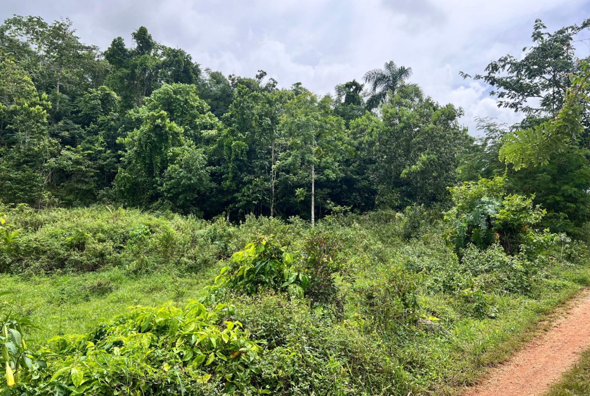 Ninth image of Broad Street, Claremont in Claremont, St. Ann, Jamaica - property is For Sale