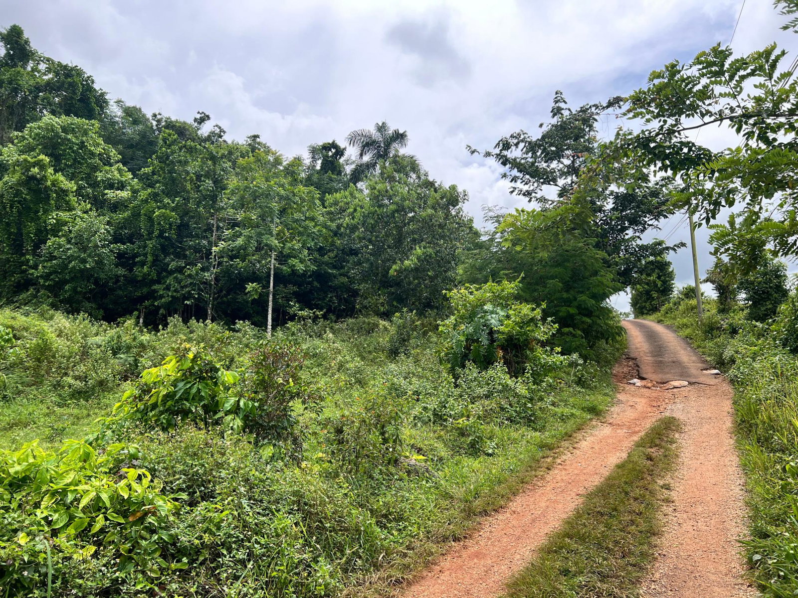 Tenth image of Broad Street, Claremont in Claremont, St. Ann, Jamaica - property is For Sale