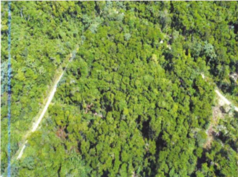 Second image of Part of Spring Garden in Reading, St. James, Jamaica - property is For Sale