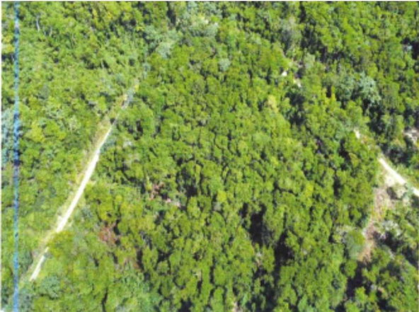 Second image of Part of Spring Garden in Reading, St. James, Jamaica - property is For Sale
