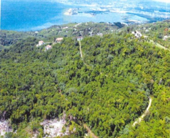 First image of Part of Spring Garden in Reading, St. James, Jamaica - property is For Sale