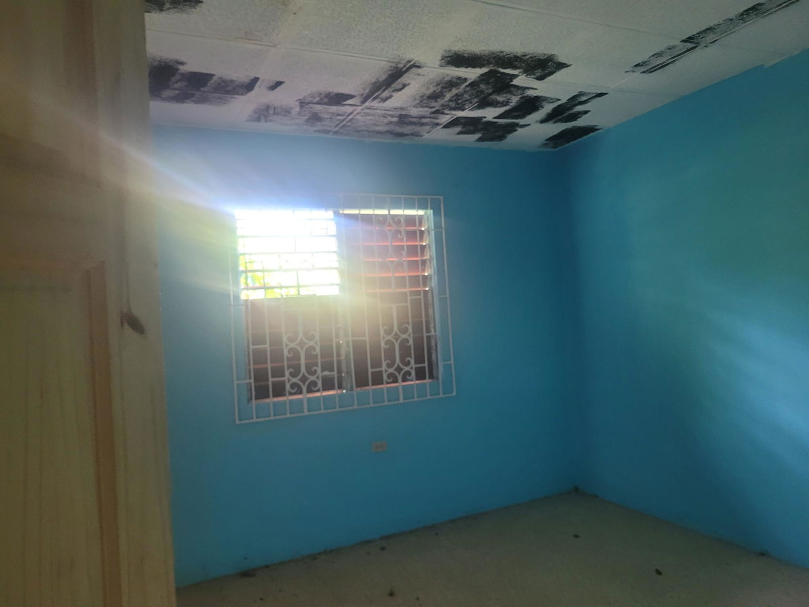 5-Bed-4-Bath-Two-Family-House-for-Sale-in-Denbigh-Clarendon-Jamaica Twentieth image of Denbigh in Denbigh, Clarendon, Jamaica - property is For Sale