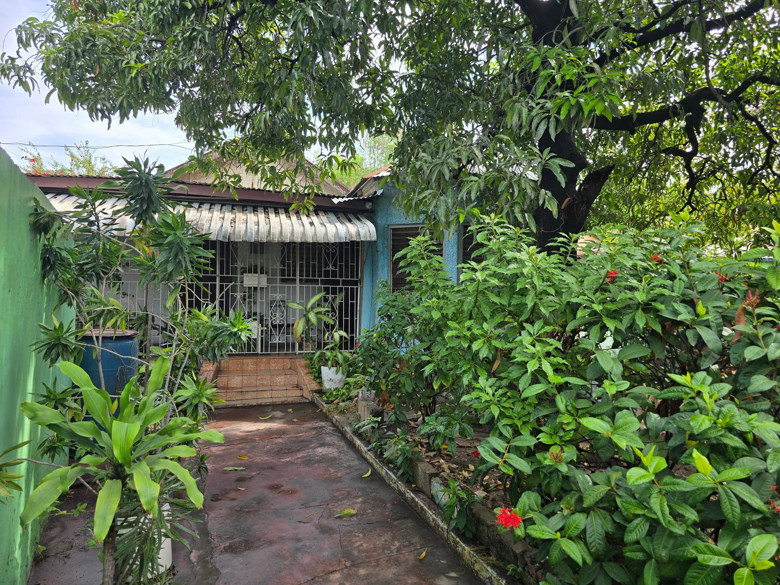 5-Bedroom-House-For-Sale-in-Kingston-St.-Andrew-–-Income-Property-on-Waltham-Park-Rd Thirteenth image of 22 1/2 Waltham Park Road in Kingston 11, St. Andrew, Jamaica - property is For Sale