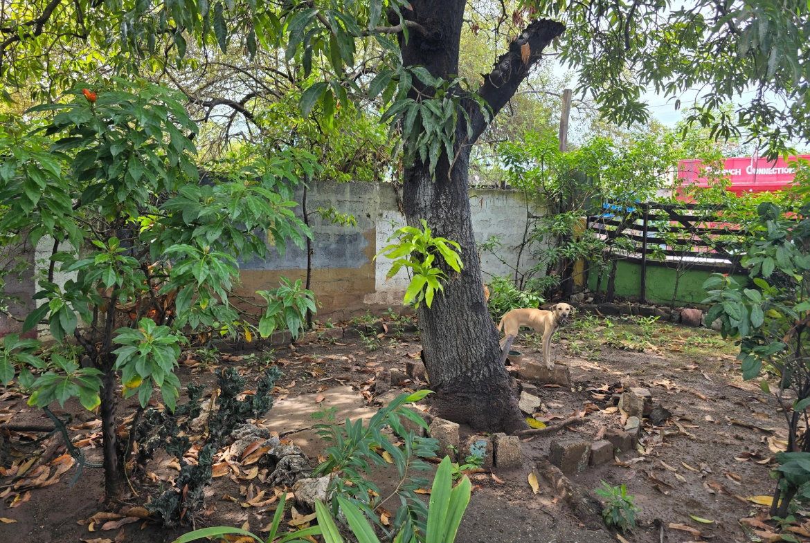 Fourteenth image of 22 1/2 Waltham Park Road in Kingston 11, St. Andrew, Jamaica - property is For Sale
