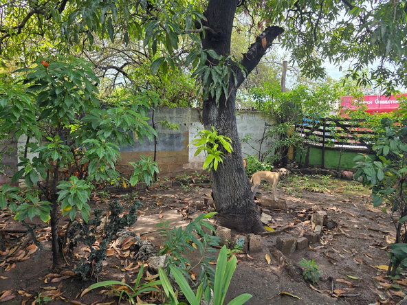 Fourteenth image of 22 1/2 Waltham Park Road in Kingston 11, St. Andrew, Jamaica - property is For Sale