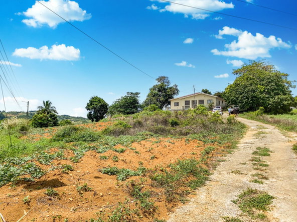 Eleventh image of Lot 29- Denham Farm in Christiana, Manchester, Jamaica - property is For Sale