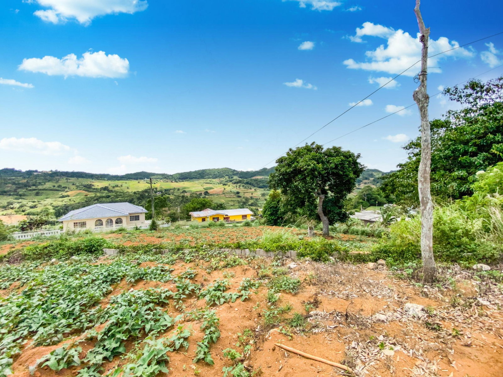 Fifteenth image of Lot 29- Denham Farm in Christiana, Manchester, Jamaica - property is For Sale