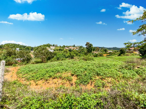 Twentieth image of Lot 29- Denham Farm in Christiana, Manchester, Jamaica - property is For Sale