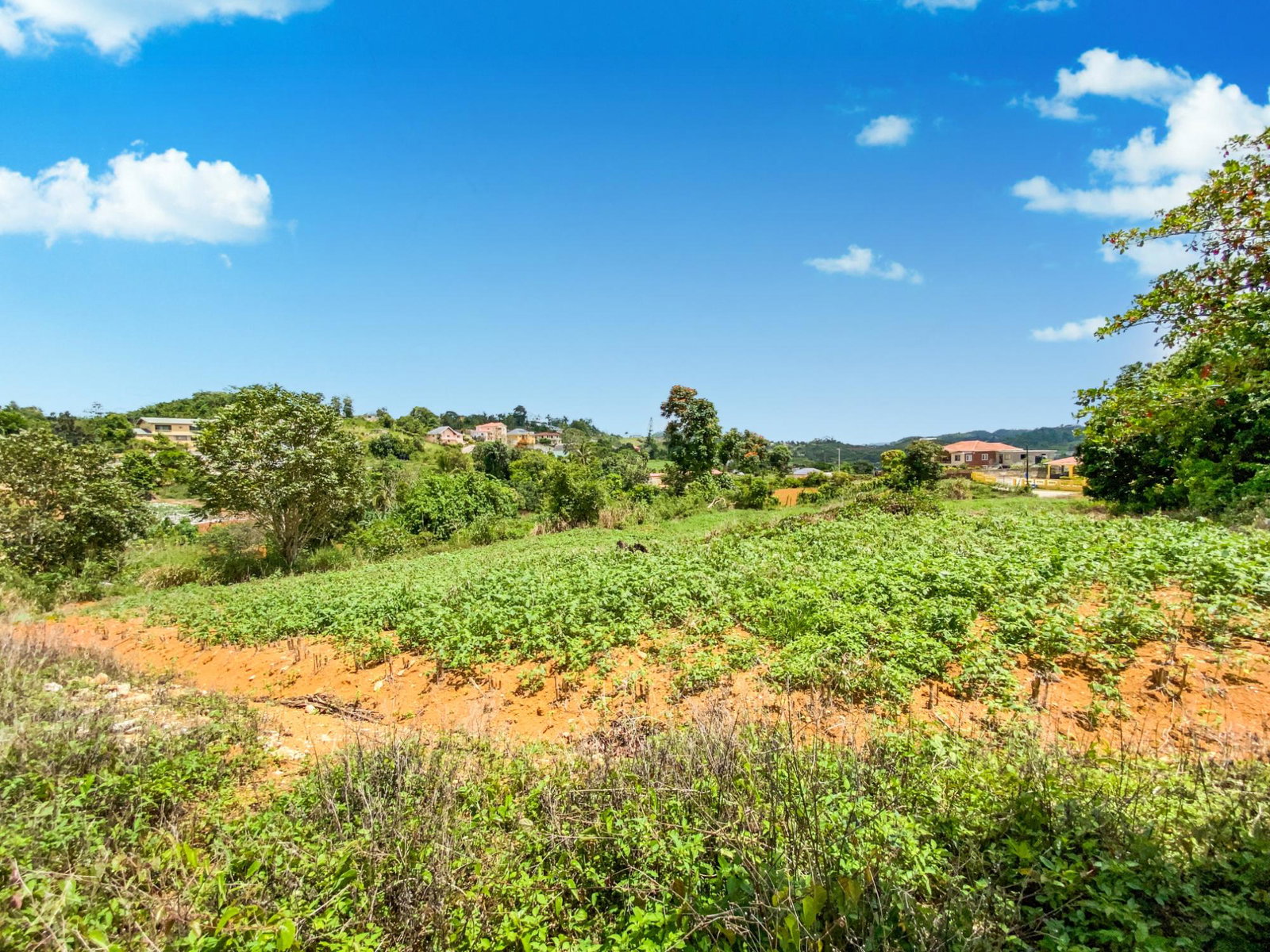Twenty-First image of Lot 29- Denham Farm in Christiana, Manchester, Jamaica - property is For Sale