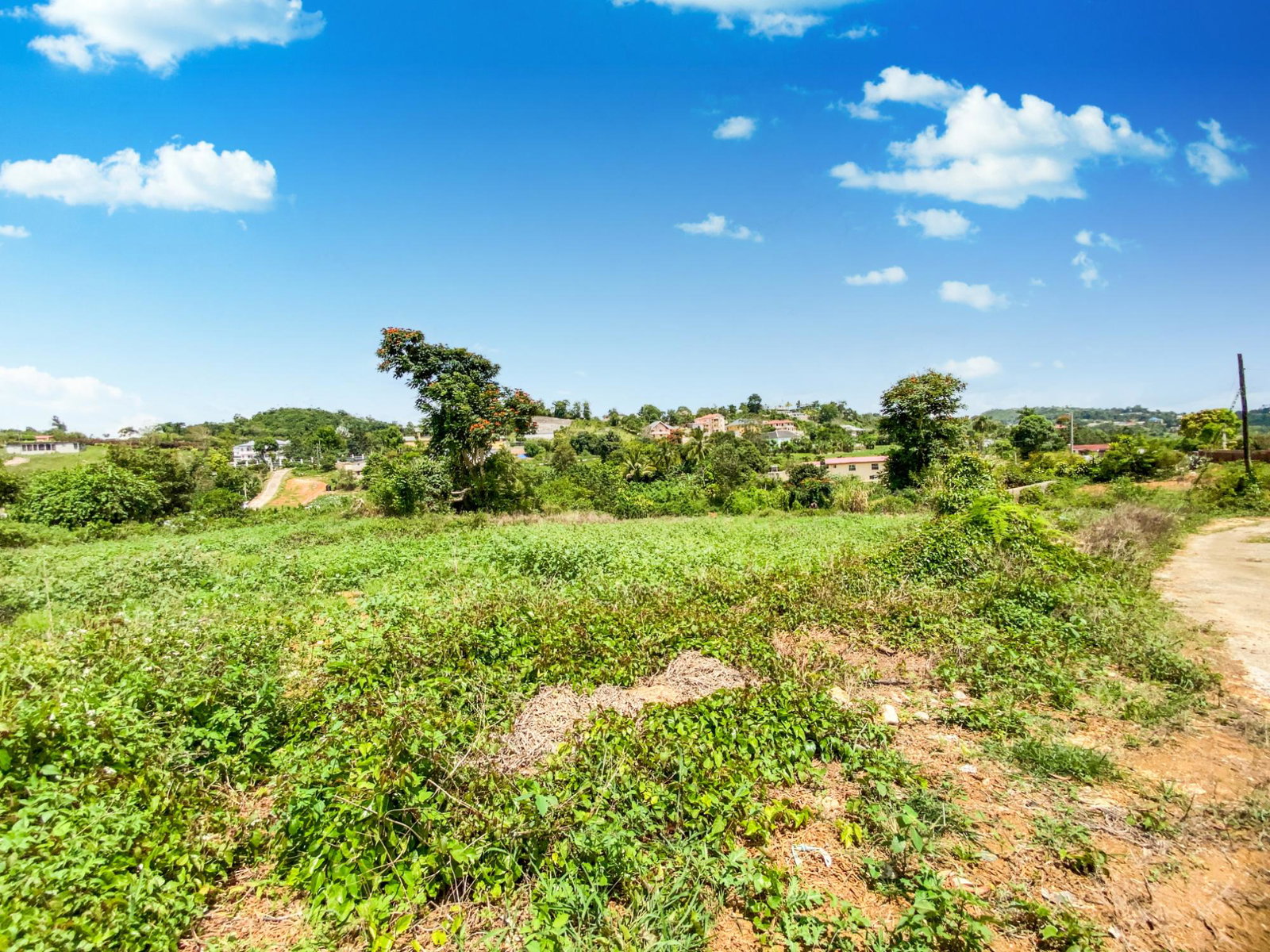 Twenty-Second image of Lot 29- Denham Farm in Christiana, Manchester, Jamaica - property is For Sale