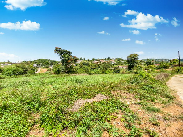Twenty-Second image of Lot 29- Denham Farm in Christiana, Manchester, Jamaica - property is For Sale